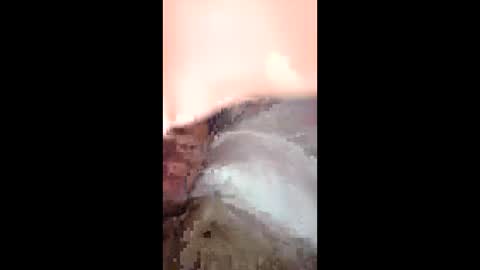 jtnorris0299626957 online show from April 2026 06:14:01 AM