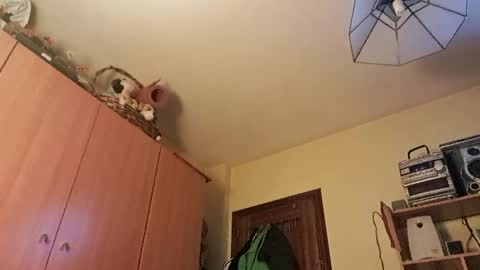 juanka85564456 online show from January 2025 12:43:02 AM