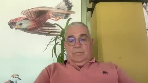 Juan online show from July 2026 04:24:01 PM