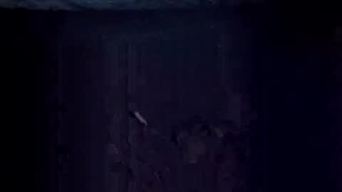 Jugg online show from December 2025 09:16:01 AM