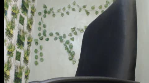 Mariagold online show from January 2025 01:31:02 PM