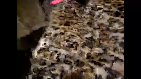 Snapshot of juicyslutx chatting on November 2025 07:07:02 PM juicyslutx online show from November 2025 07:07:02 PM