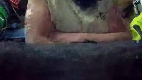 juicyweiner online show from October 2025 08:51:01 AM