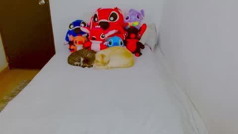 Snapshot of juli_69 chatting on February 2026 08:29:01 PM Juliana Torres online show from February 2026 08:29:01 PM