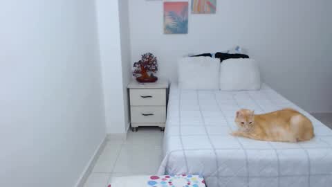 julia online show from December 2024 07:11:01 PM