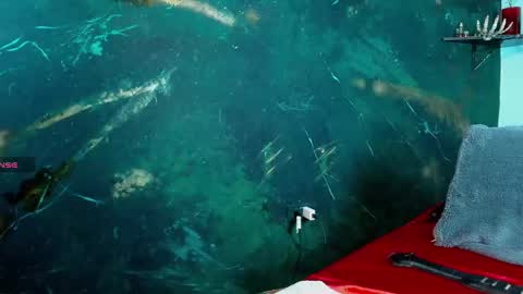    online show from February 2026 06:59:02 AM