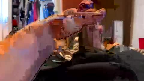 jussumwun online show from January 2025 03:03:01 PM