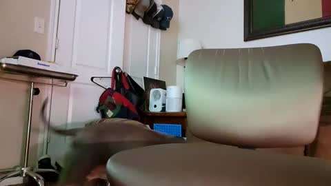 Snapshot of just4fun1523 chatting on January 2026 02:14:01 AM just4fun1523 online show from January 2026 02:14:01 AM