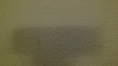 Just marlon online show from March 2025 03:17:01 AM