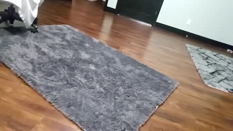 Tohiptwoquit online show from January 2026 06:07:02 AM