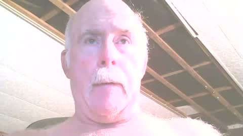 justdon online show from July 2026 02:41:02 PM