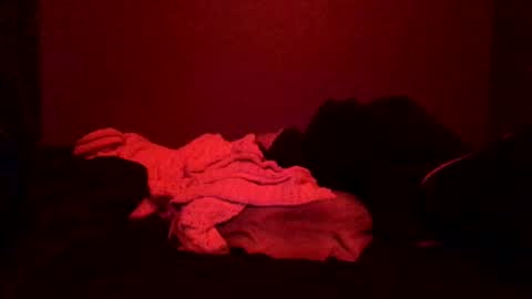 Call me Just online show from March 2025 02:19:02 PM