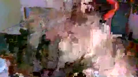 juteja online show from October 2025 09:15:01 PM