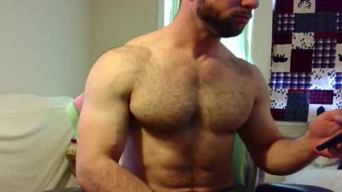 Wolf online show from February 2025 02:54:02 PM