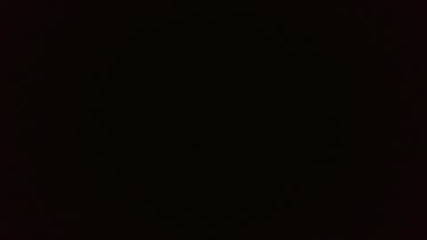 Wolf online show from February 2025 03:52:01 PM