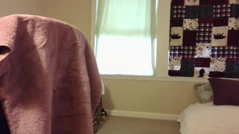 Wolf online show from March 2025 01:29:01 PM