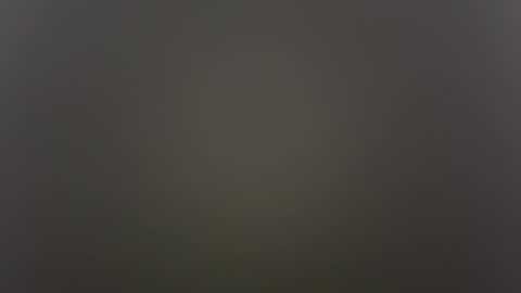          Anime Goth Kaila Kitty Kandy          online show from October 2025 08:49:01 AM