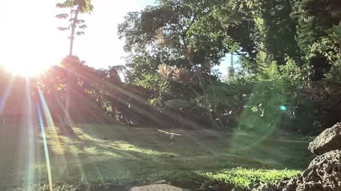 Snapshot of kaileeshy chatting on September 2025 03:28:01 AM Kailee Smile online show from September 2025 03:28:01 AM