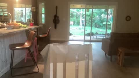 Snapshot of kaileeshy chatting on October 2025 03:56:01 AM Kailee Smile online show from October 2025 03:56:01 AM