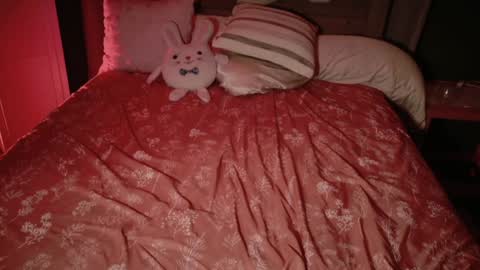 Snapshot of kaileeshy chatting on November 2025 04:28:02 AM Kailee Smile online show from November 2025 04:28:02 AM