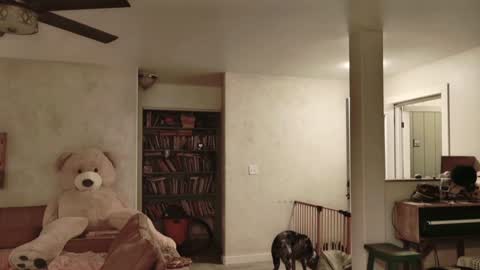 Snapshot of kaileeshy chatting on November 2025 04:58:02 AM Kailee Smile online show from November 2025 04:58:02 AM