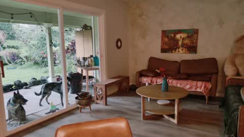 Snapshot of kaileeshy chatting on January 2026 03:42:02 AM Kailee Smile online show from January 2026 03:42:02 AM