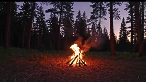 Snapshot of kaileeshy chatting on January 2026 04:26:02 AM Kailee Smile online show from January 2026 04:26:02 AM