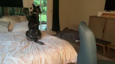 Snapshot of kaileeshy chatting on February 2026 04:16:02 AM Kailee Smile online show from February 2026 04:16:02 AM