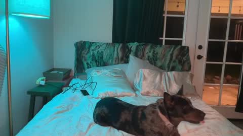 Snapshot of kaileeshy chatting on February 2026 05:00:02 AM Kailee Smile online show from February 2026 05:00:02 AM