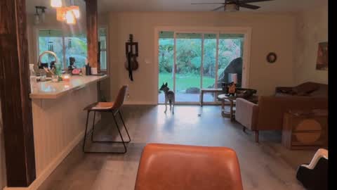 Kailee Smile online show from March 2026 04:28:02 AM