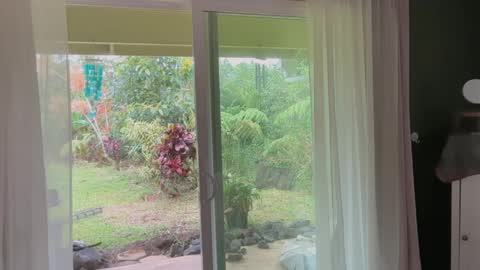 Kailee Smile online show from March 2026 02:01:02 AM