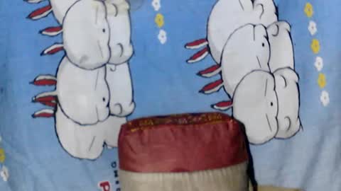 kaillah online show from February 2025 12:51:02 PM