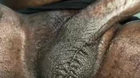 Snookie online show from December 2024 09:40:02 AM