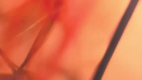 KarinaBelov  online show from February 2025 08:16:01 AM