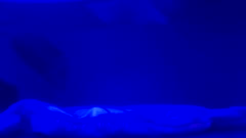 Karla Gonzaless online show from November 2025 06:49:01 AM