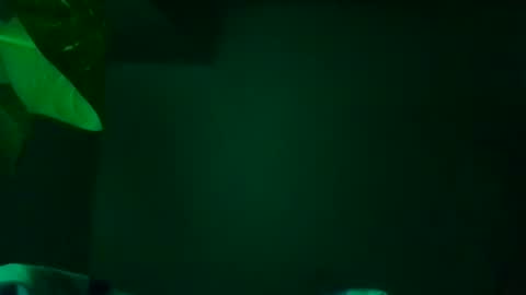 Karla Gonzaless online show from November 2025 07:29:01 AM