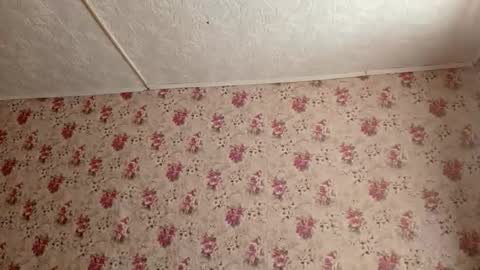 Snapshot of karoncabeza chatting on February 2026 07:19:01 AM Sara online show from February 2026 07:19:01 AM