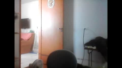 kasadocarente online show from January 2026 04:22:02 PM