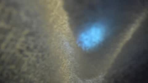 Kate  online show from April 2026 10:16:02 AM