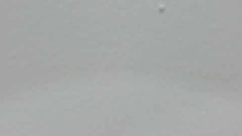 katy blonde girl and paola big boobs online show from December 2024 05:02:01 PM