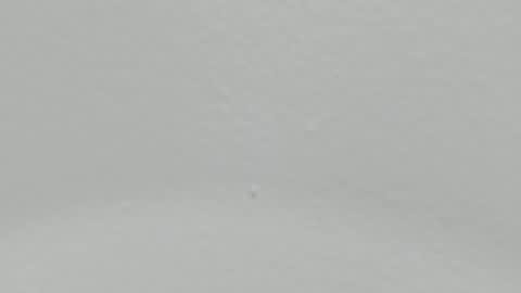 katy blonde girl and paola big boobs online show from January 2025 02:01:01 AM