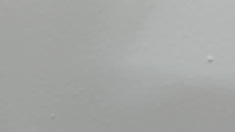 katy blonde girl and paola big boobs online show from February 2025 08:03:01 PM