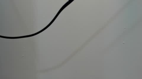 katy blonde girl and paola big boobs online show from March 2025 08:00:01 PM