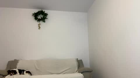 Kenna next time online - 2nd of Dec online show from January 2025 12:04:02 PM