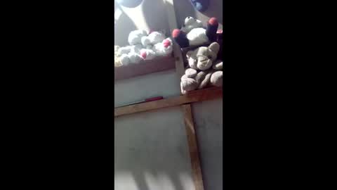 Snapshot of kevin_07279101 chatting on March 2026 04:40:01 AM kevin_07279101 online show from March 2026 04:40:01 AM