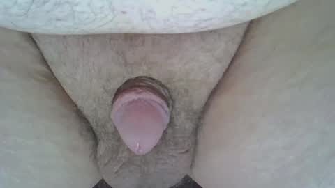 maggot online show from March 2025 08:22:01 AM