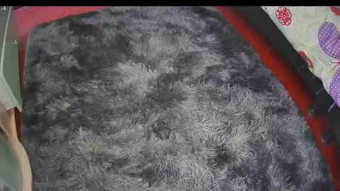 Keyla online show from February 2026 05:09:02 PM