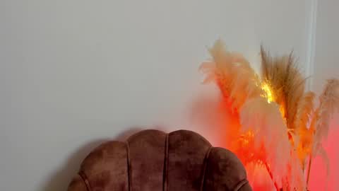 Kim Murphy online show from January 2025 01:19:01 PM