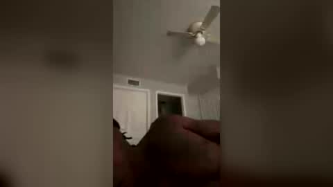 KingEcstasyXXX online show from July 2026 11:31:02 AM