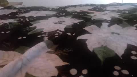 Kinky K80 online show from November 2025 02:50:01 PM